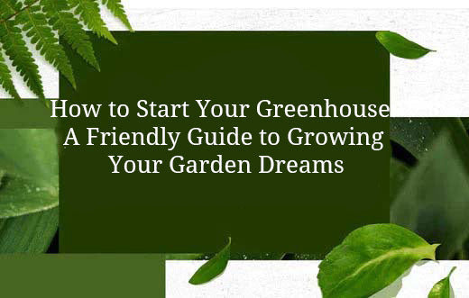 How to Start Your Greenhouse: A Friendly Guide to Growing Your Garden Dreams