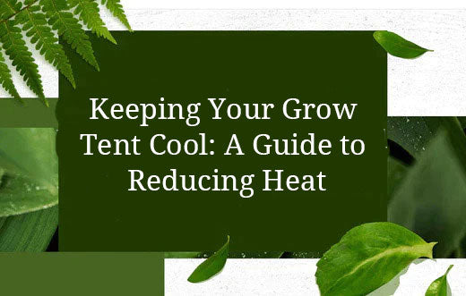 Keeping Your Grow Tent Cool: A Guide to Reducing Heat