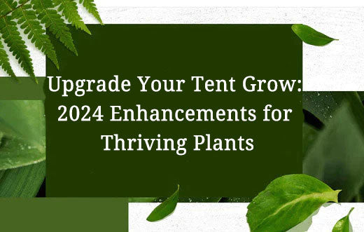 Upgrade Your Tent Grow: 2024 Enhancements for Thriving Plants