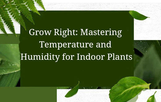 Grow Right: Mastering Temperature and Humidity for Indoor Plants