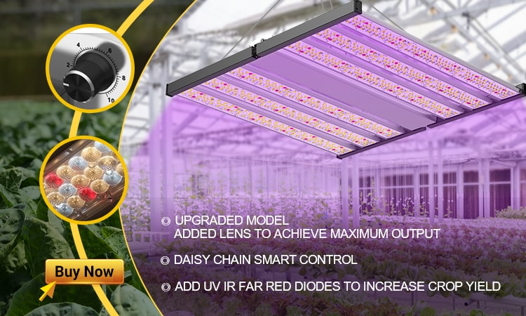 Barrina Lampadina per coltivare la luce, 96 W (4 x 24 W), spettro completo da 0,8 m, LED T8 a forma di V, luci per piante da interno, confezione da 4 Barrina Lampadina per coltivare la luce, 96 W (4 x 24 W), spettro completo da 0,8 m, LED T8 a forma di V, luci per piante da interno, confezione da 4
