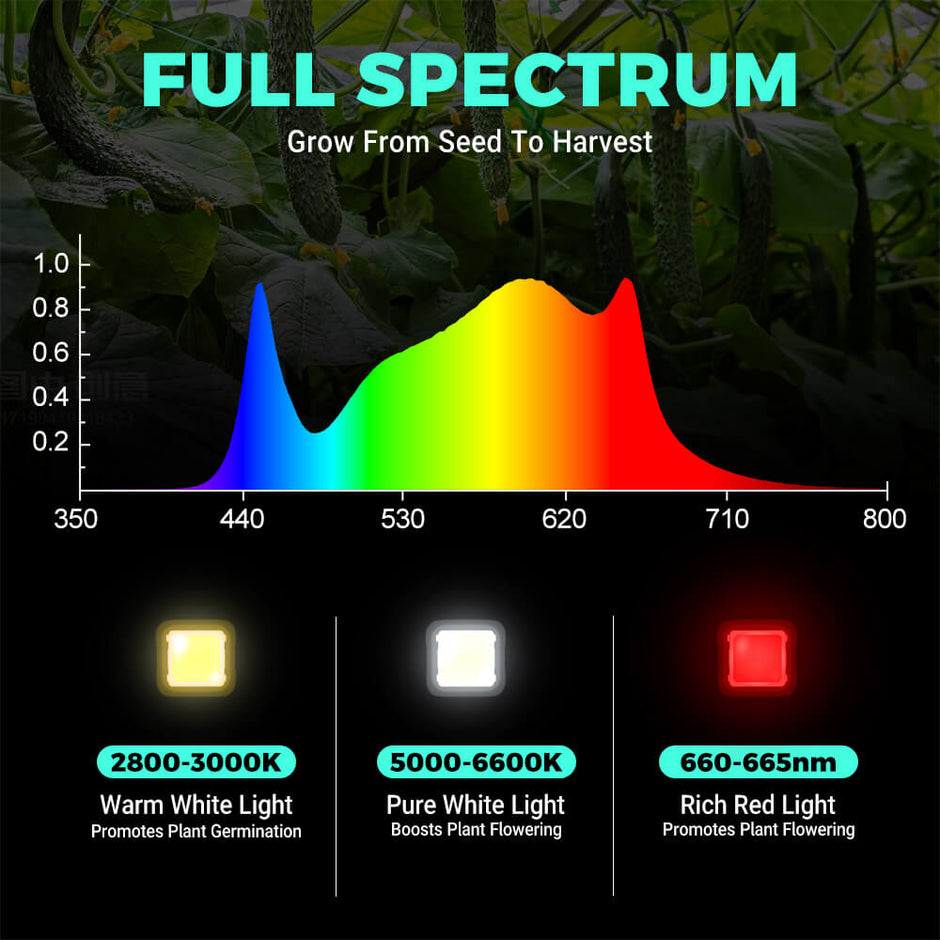 VIPARSPECTRA XS2000 LED Grow Lampe Hoch PPFD, Vollspektrum Pflanzenlampe Dimmbar Grow Light, Wachstumslampe Für Pflanzen Gemüse Anzucht Blüte, Growzelt 120x60cm 90x90cm