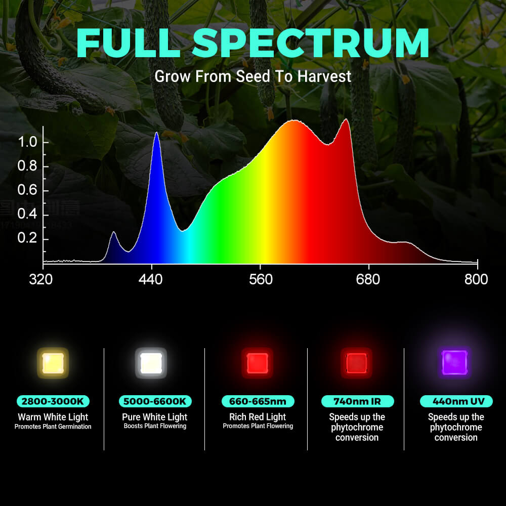 PHLIZON PH-B8-D PLUS 640W Full-spectrum+UV/IR Dimmable LED Grow Light with Samsung 281B LED
