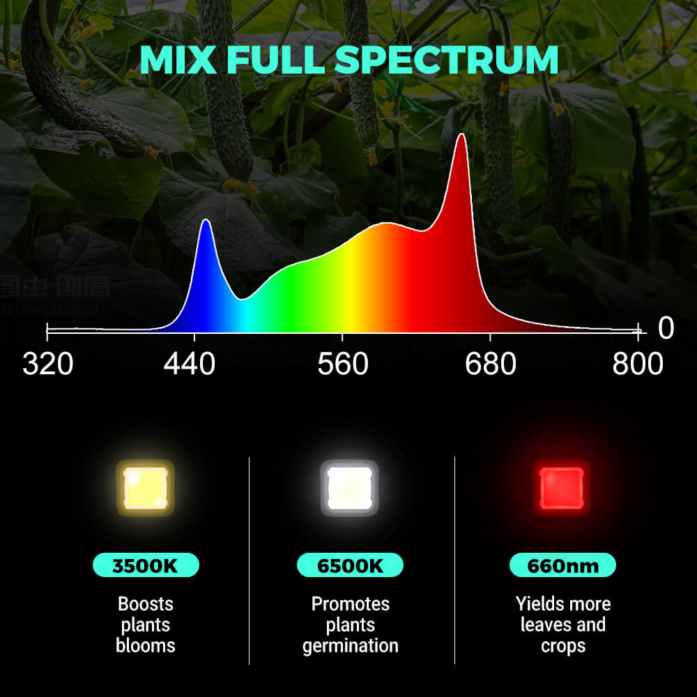 PHLIZON FD8000 1000W Full-spectrum Dimmable LED Grow Light High