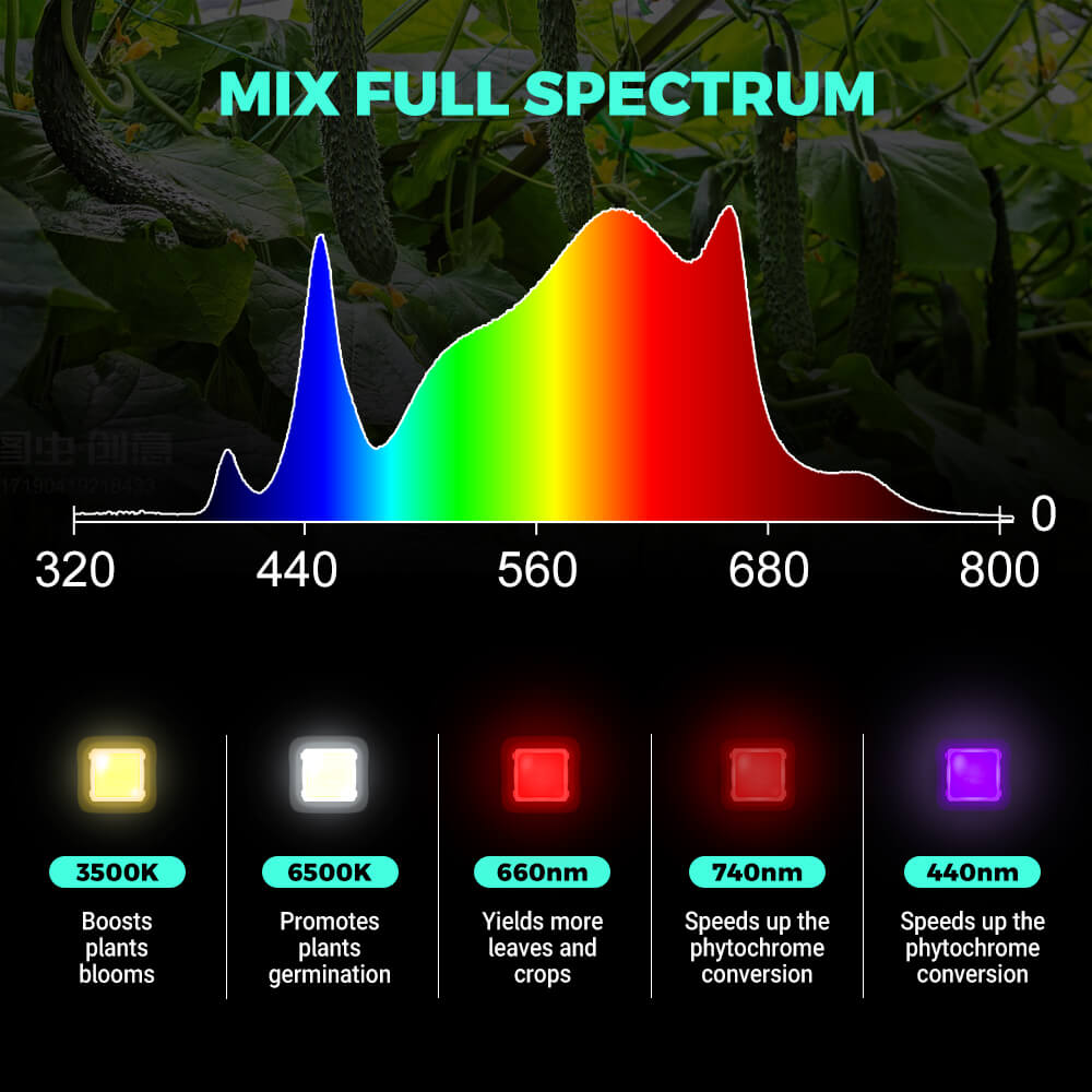 PHLIZON PH-B6 320W Full-spectrum Dimmable UV/IR LED Grow Light with  Samsung 281B LED