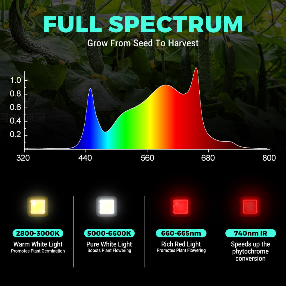 PHLIZON (PRO-2000)PHX4 240W Full-spectrum Dimmable LED Grow Light with Samsung 281B LED