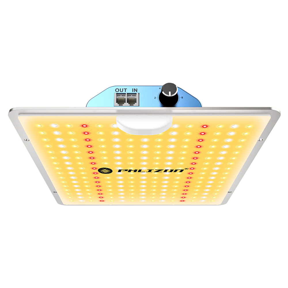 Phlizon Improved 600W LED Plant Grow Light with SMD LEDs Full Spectrum Plant Lamp with Dual Switch Led for Indoor Plants Vegetables and Flowers (600W Phlizon Improved 600W LED Plant Grow Light with SMD LEDs Full Spectrum Plant Lamp with Dual Switch Led for Indoor Plants Vegetables and Flowers (600W